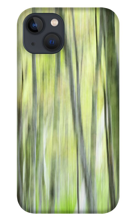 Tree iPhone 13 Case featuring the digital art The Birch Trees by Lorraine Cosgrove