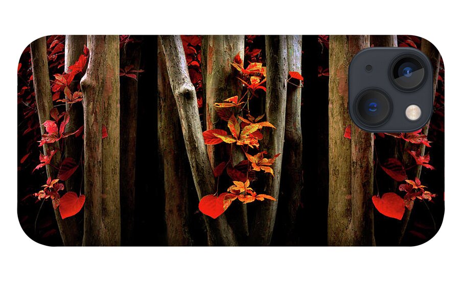 Autumn iPhone 13 Case featuring the photograph The Crimson Forest by Jessica Jenney