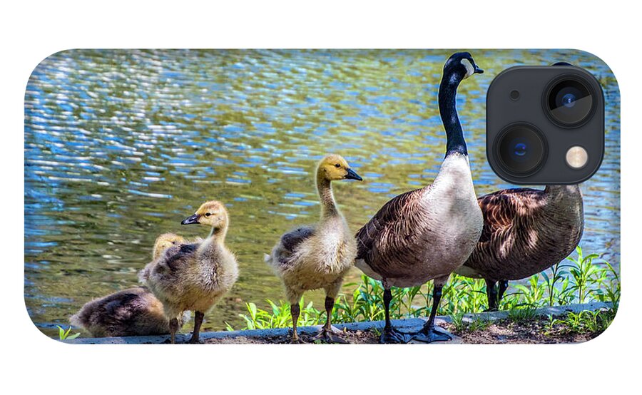 Geese iPhone 13 Case featuring the photograph The Family by Cathy Kovarik