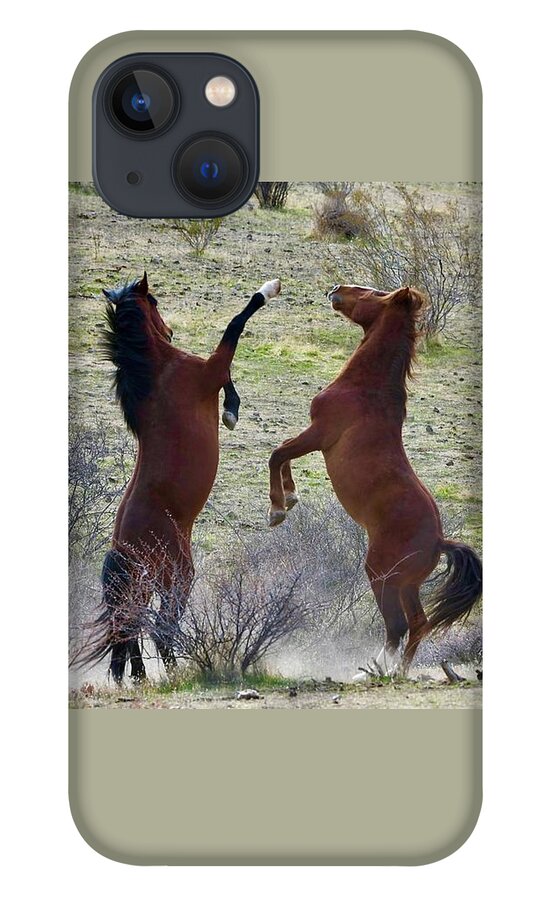 Salt River Wild Horse iPhone 13 Case featuring the digital art The Fight Is On by Tammy Keyes