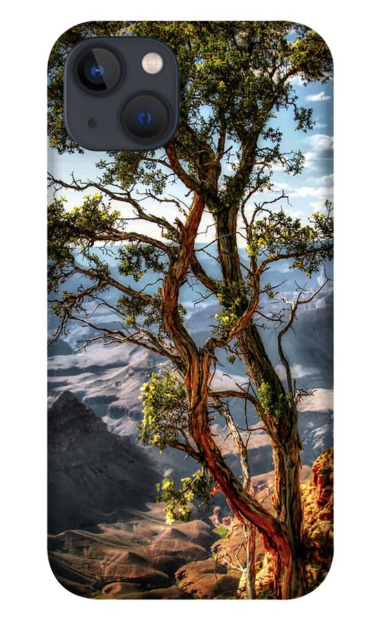 Grand Canyon iPhone 13 Case featuring the photograph The last of its kind by Micah Offman