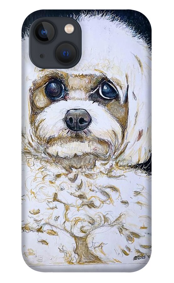 Dog iPhone 13 Case featuring the drawing The little dog by Tim Ernst