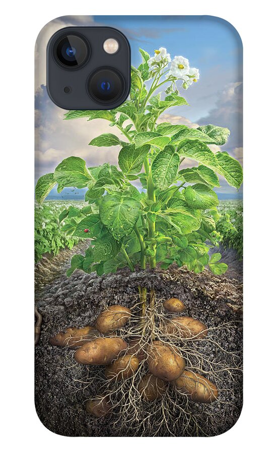 Potato iPhone 13 Case featuring the digital art The Mighty Russet by Mark Fredrickson