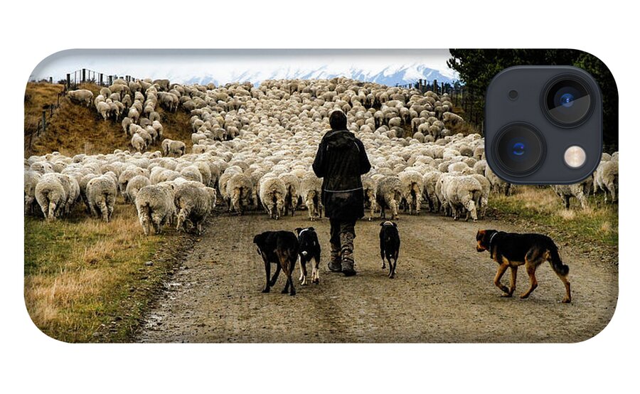 New Zealand iPhone 13 Case featuring the photograph While Shepherds Watched - High Country Muster, South Island, New Zealand by Earth And Spirit