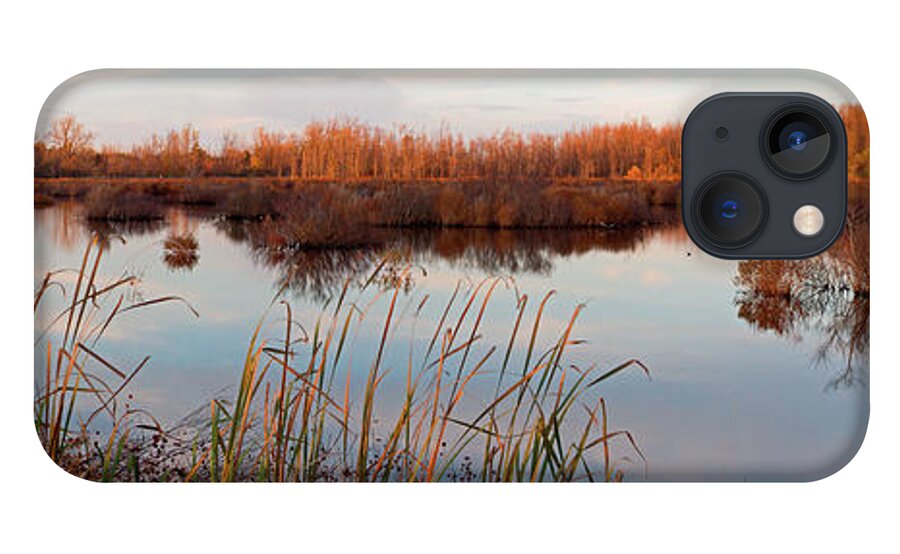 Preserve iPhone 13 Case featuring the photograph Tillman Preserve by Don Nieman