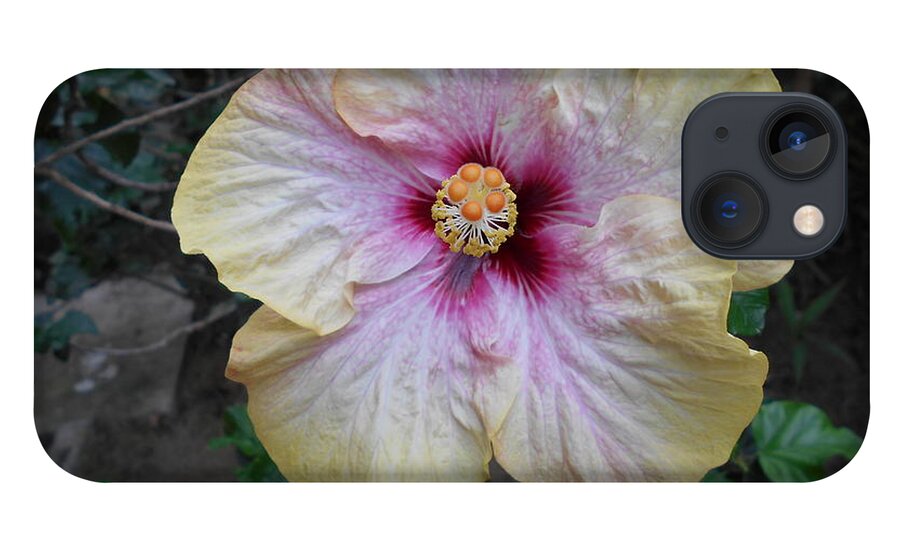 Flower iPhone 13 Case featuring the photograph Tinges of Purple by Nancy Graham