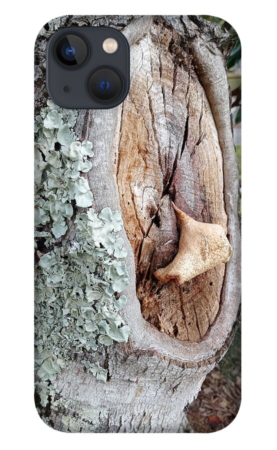  iPhone 13 Case featuring the photograph Tree Scar by Heather E Harman