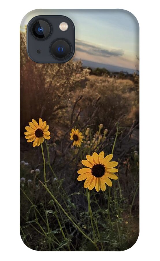 Flower iPhone 13 Case featuring the photograph Tres Mirasol by Claudia Goodell