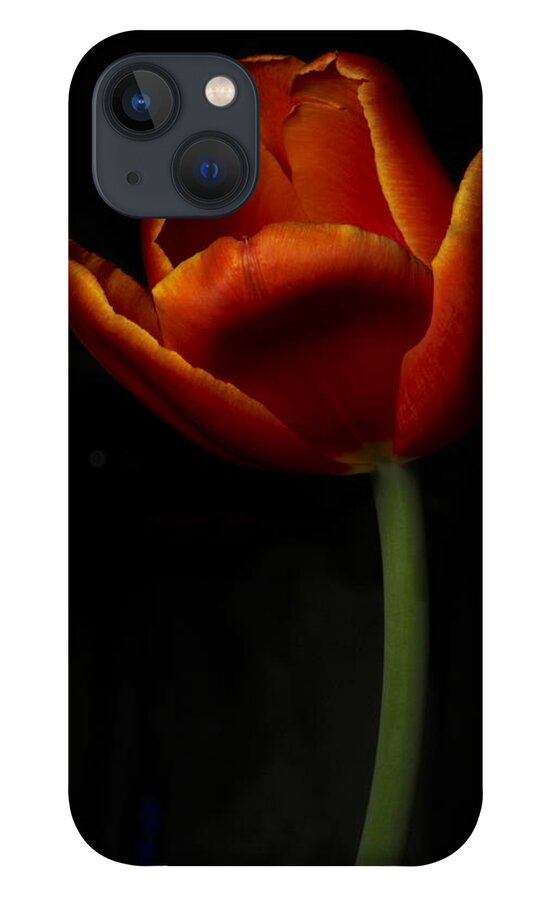 Botanical iPhone 13 Case featuring the photograph Tulip 8063 by Julie Powell