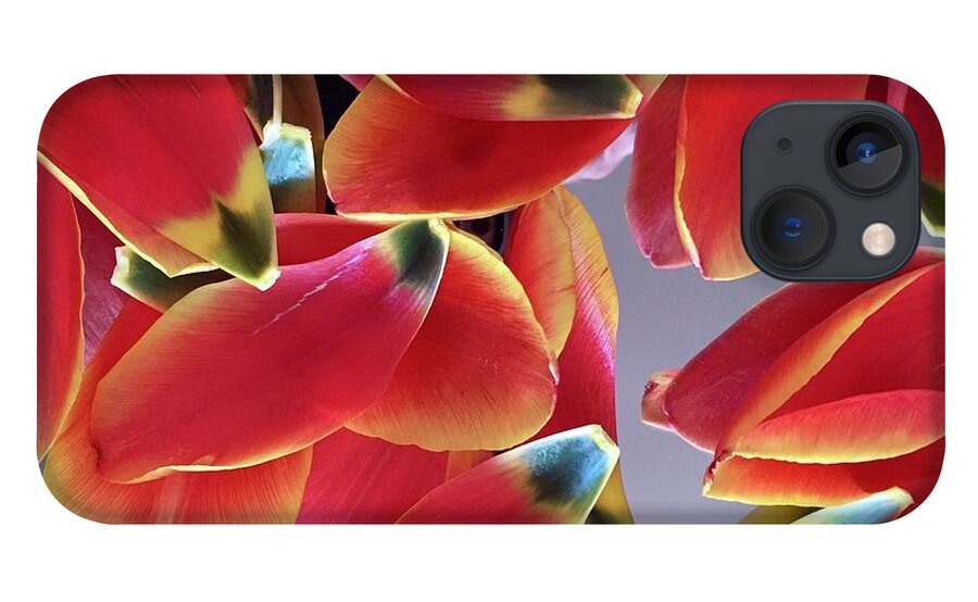 Composition iPhone 13 Case featuring the photograph Tulip Series 1-3 by J Doyne Miller