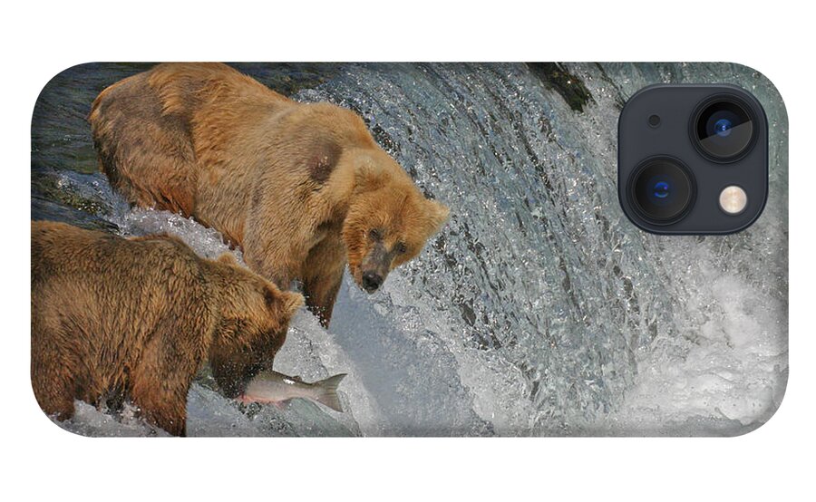 Bear iPhone 13 Case featuring the photograph Two Bears one catch by Ed Stokes