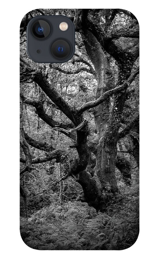 Monochrome iPhone 13 Case featuring the photograph Up on the hill by Gavin Lewis