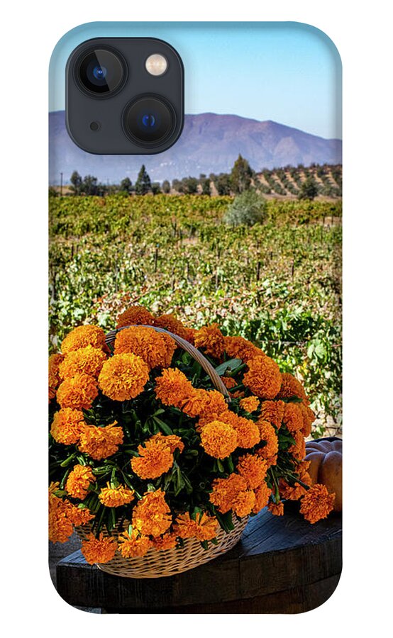 Marigolds iPhone 13 Case featuring the photograph Valley Marigolds by William Scott Koenig