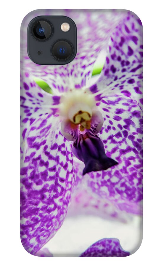Singapore iPhone 13 Case featuring the photograph Vanda Orchid by Tanya Owens