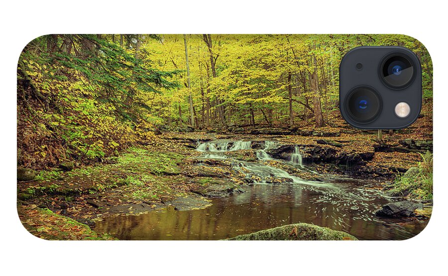 Landscape iPhone 13 Case featuring the photograph Vaughan Brook in Vaughan Woods by David Lee