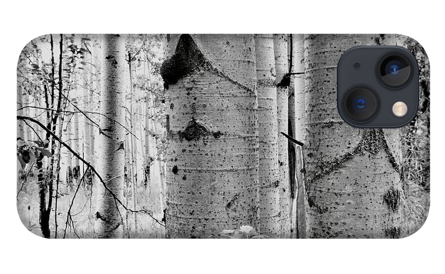 Aspen iPhone 13 Case featuring the photograph Magical Aspen Grove by Ryan Workman Photography