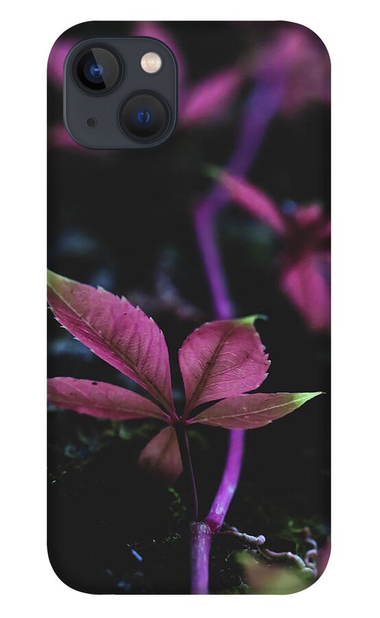 Mountain iPhone 13 Case featuring the photograph Vine Vibes by Go and Flow Photos