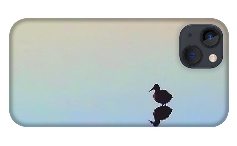 Bird iPhone 13 Case featuring the photograph Wading Willet by Lori Lafargue