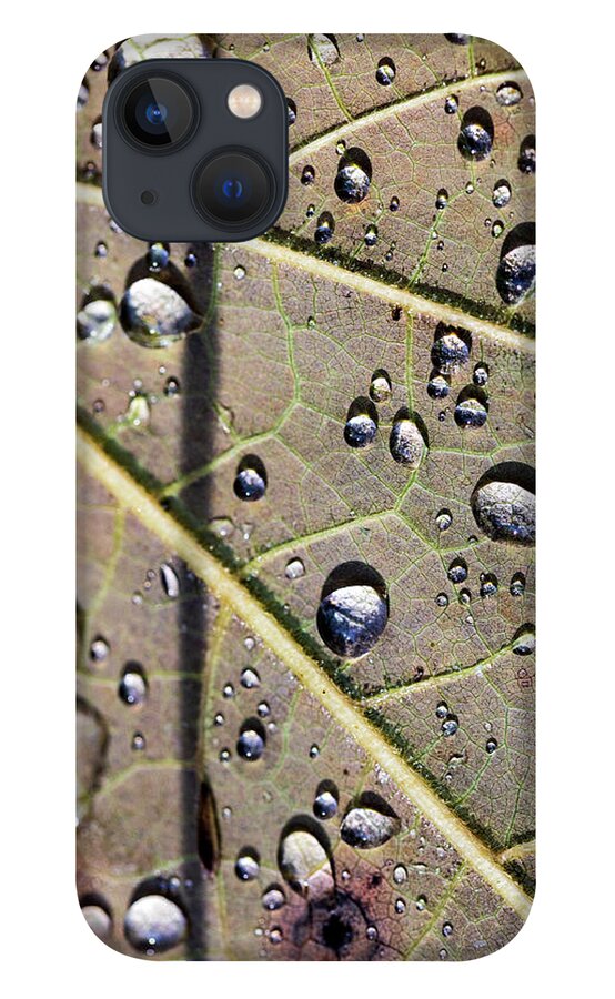 Rain iPhone 13 Case featuring the photograph Water Drips on a Leaf by Amelia Pearn