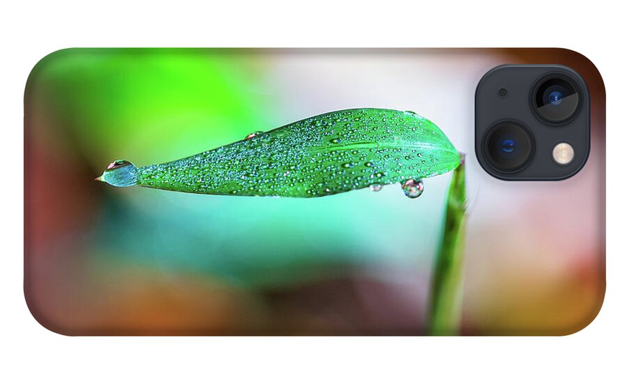 Water Drops iPhone 13 Case featuring the photograph Water Drops on Leaf by Amelia Pearn