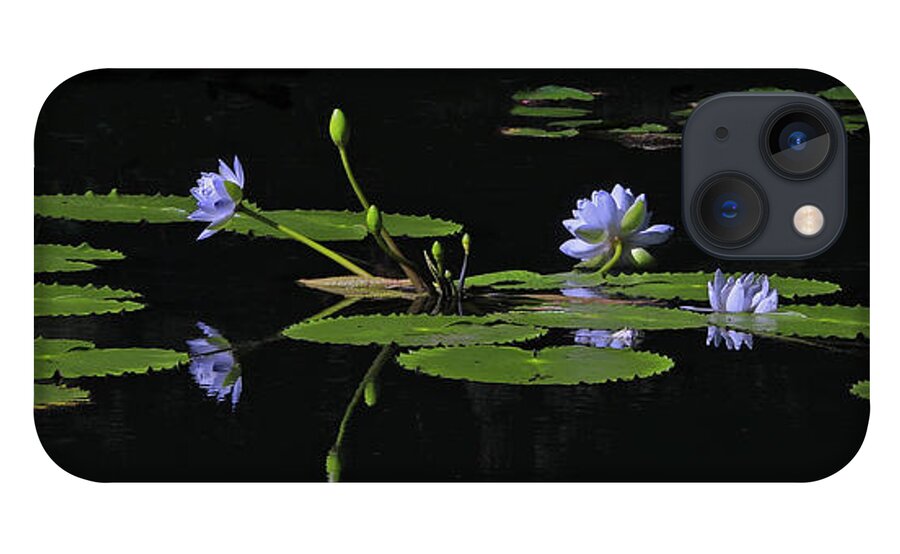 Water Lily iPhone 13 Case featuring the photograph Water Lilies 1 by Richard Krebs