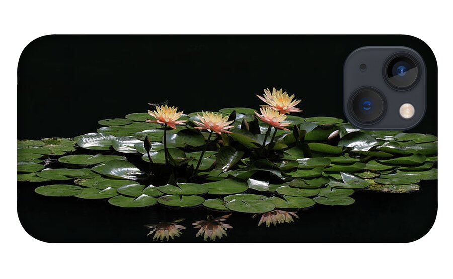 Water Lily iPhone 13 Case featuring the photograph Water Lilies 8 by Richard Krebs
