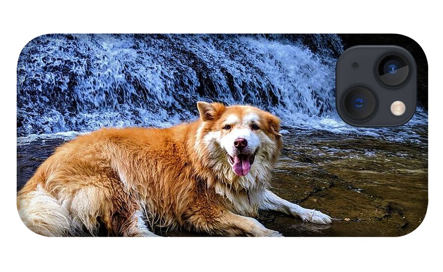  iPhone 13 Case featuring the photograph Waterfall Doggy by Brad Nellis