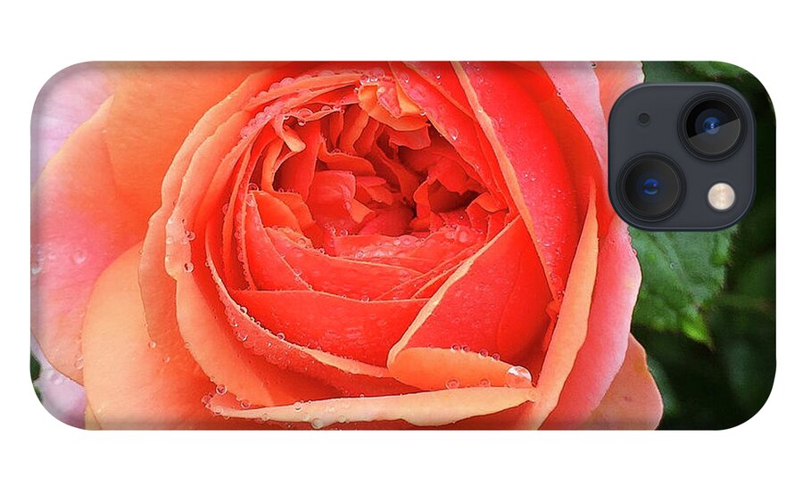 Rose iPhone 13 Case featuring the digital art Wet Rose by Nancy Olivia Hoffmann