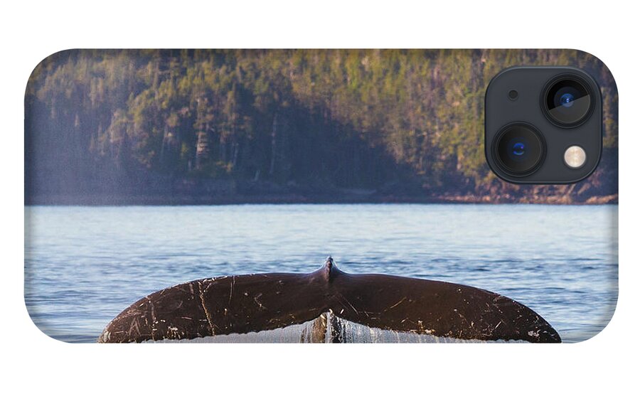 Whale Tale iPhone 13 Case featuring the photograph Whale Tale 1 by Michael Rauwolf