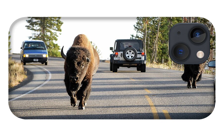 Buffalo iPhone 13 Case featuring the photograph Where The Buffalo Roam - Bison, Yellowstone National Park, Wyoming by Earth And Spirit