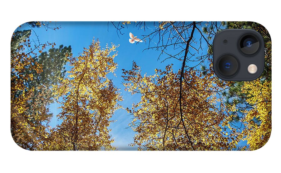 Landscape iPhone 13 Case featuring the photograph White Dove over Big Pines by Romeo Victor