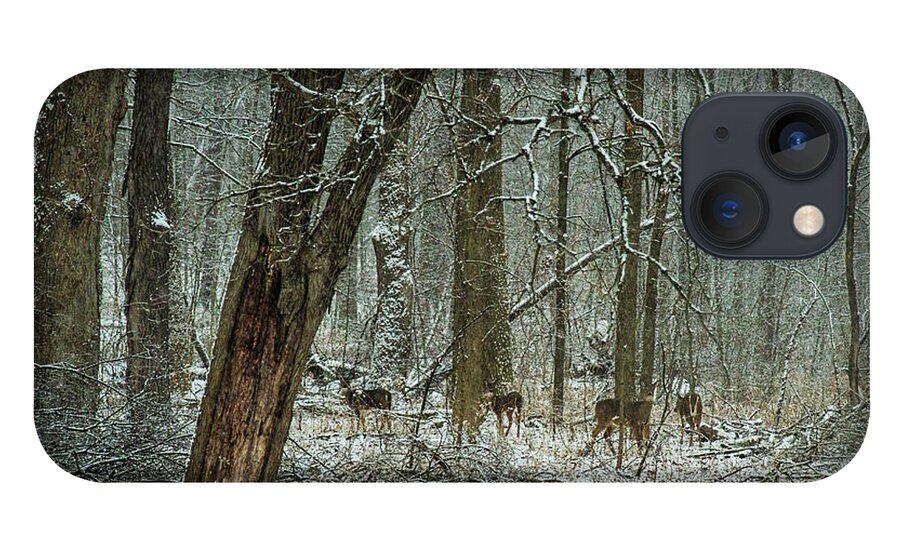 White-tailed Deer iPhone 13 Case featuring the photograph White-tailed Deer on a Snowy Day in the Forest by Sandra Rust