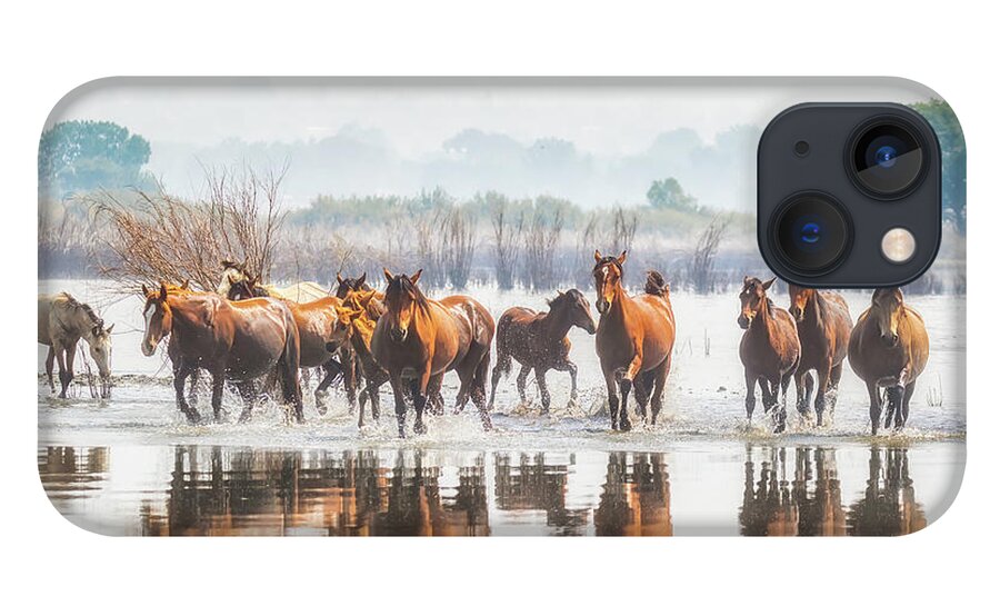 Nevada iPhone 13 Case featuring the photograph Wild Horses Crossing Big Washoe by Marc Crumpler