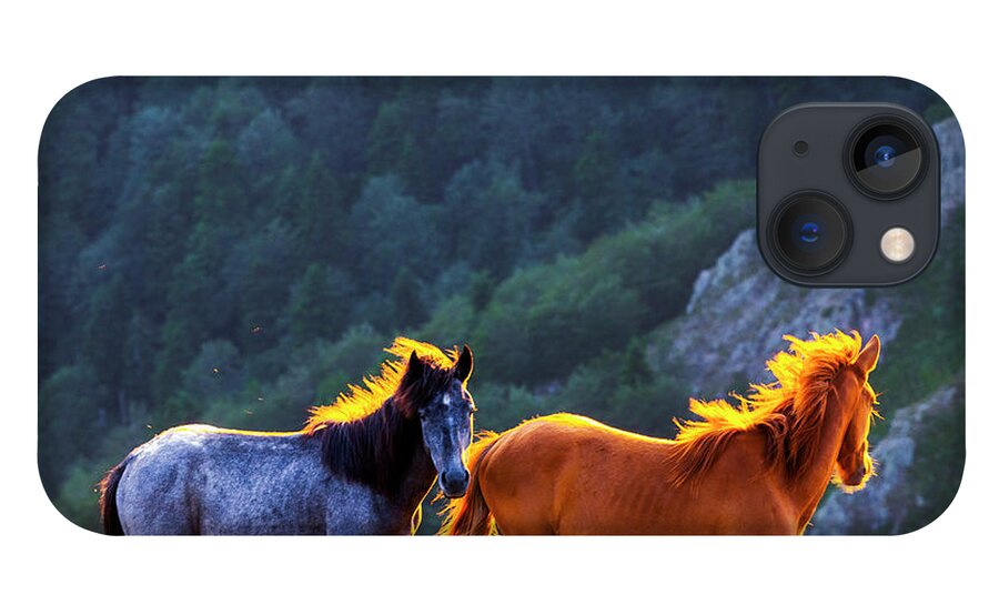 Balkan Mountains iPhone 13 Case featuring the photograph Wild Horses by Evgeni Dinev