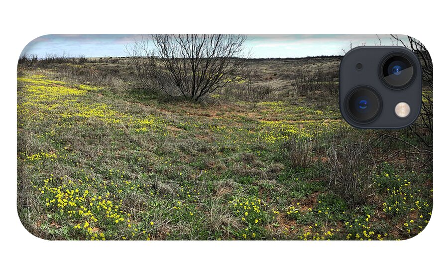Richard E. Porter iPhone 13 Case featuring the photograph Wildflowers, Highway 256, Texas Panhandle by Richard Porter
