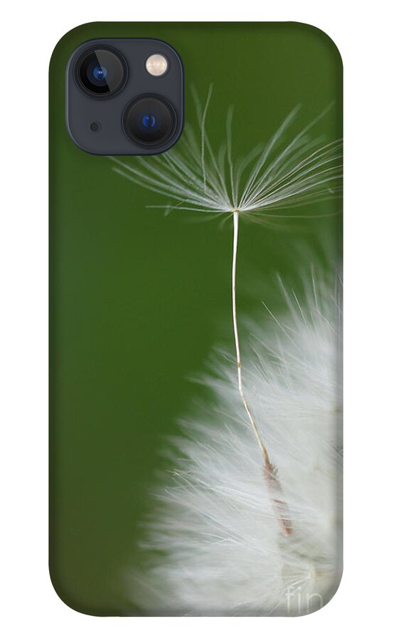 Flower iPhone 13 Case featuring the photograph Wind by Elbegzaya Lkhagvasuren