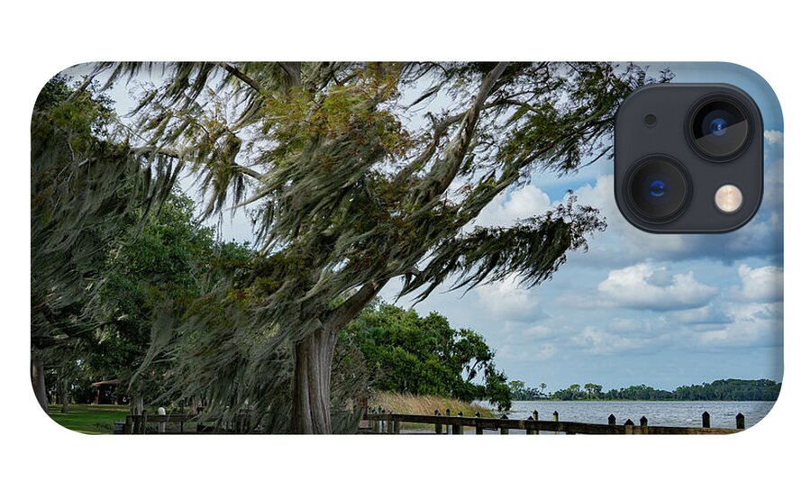 Mount Dora iPhone 13 Case featuring the photograph Windswept by Todd Tucker