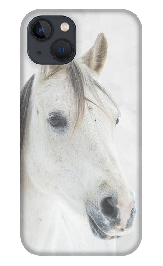 Horse iPhone 13 Case featuring the photograph Winter Horse by JBK Photo Art