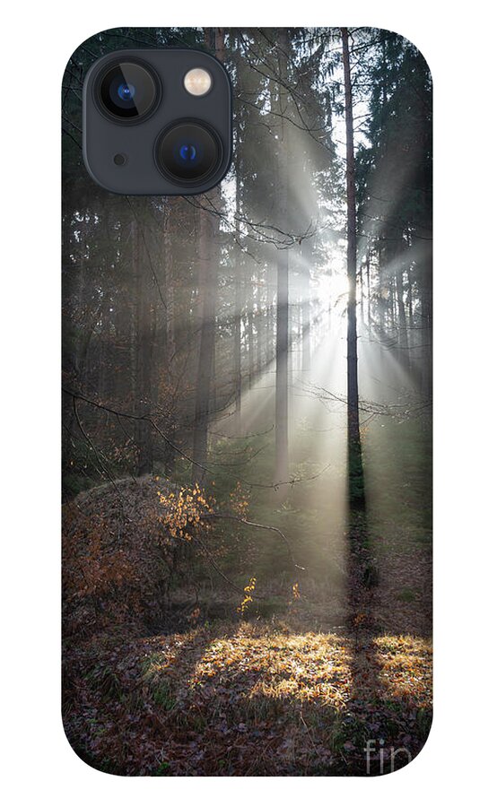Winter iPhone 13 Case featuring the photograph Winter light in the forest 3 by Adriana Mueller