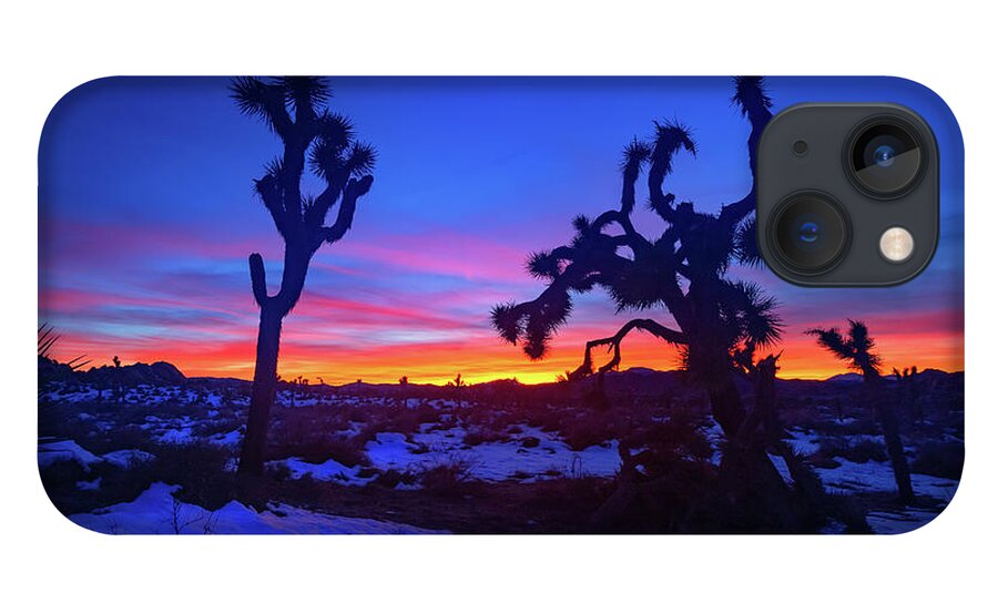 Joshua Tree iPhone 13 Case featuring the photograph Winter Sunsets by Tassanee Angiolillo