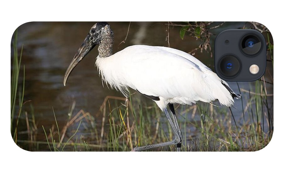 Wood Storks iPhone 13 Case featuring the photograph Wood stork 4 by Mingming Jiang
