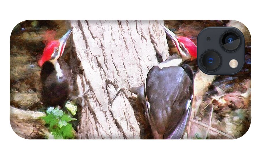 Woodpeckers iPhone 13 Case featuring the mixed media Woodpeckers by the Stream by Christopher Reed