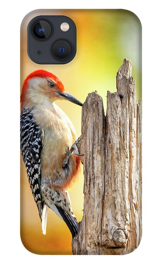 Woodpecker iPhone 13 Case featuring the photograph Woody At Work by Bill and Linda Tiepelman