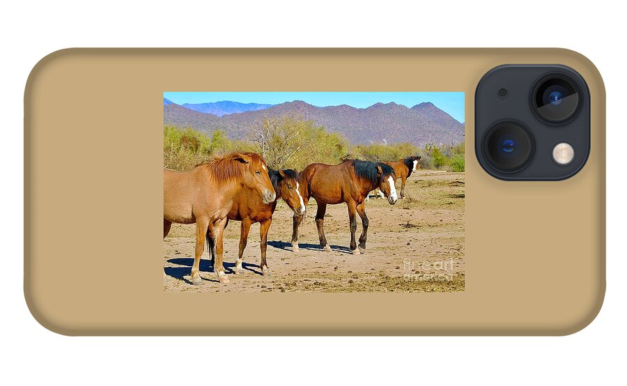 Salt River Wild Horses iPhone 13 Case featuring the digital art You Guys Comin Or Ya Just Going To Stand There by Tammy Keyes