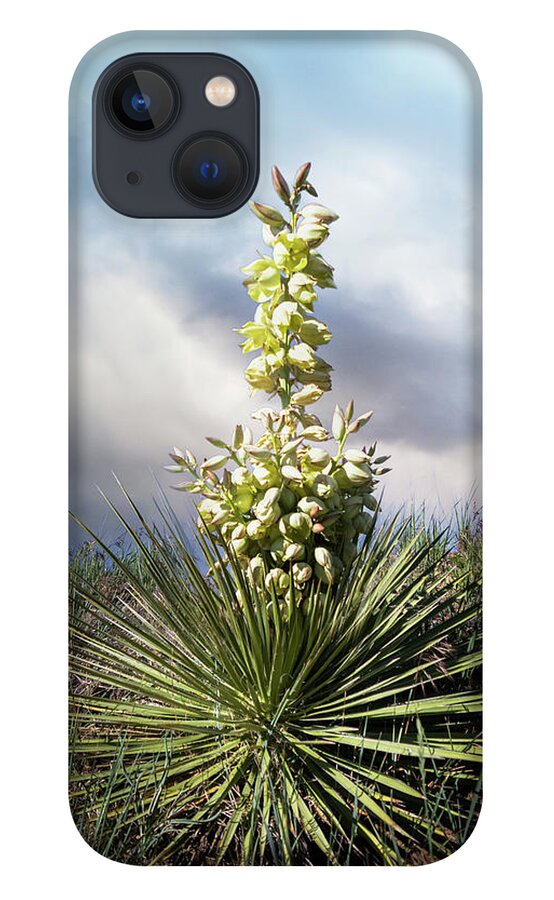 Yucca iPhone 13 Case featuring the photograph Yucca in Bloom by Laura Terriere
