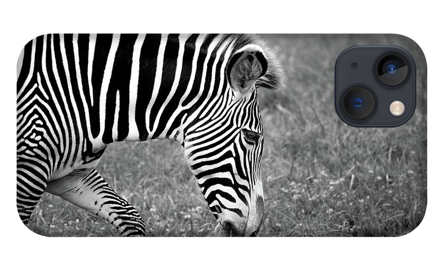Zebra iPhone 13 Case featuring the photograph Zebra Black and White by Deborah M