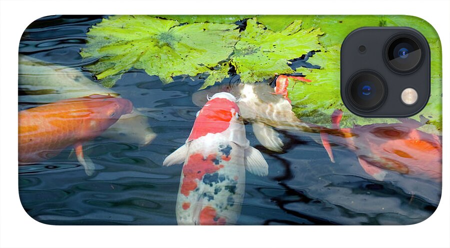 Tranquil Koi Fish Pond Live Wallpaper - free download