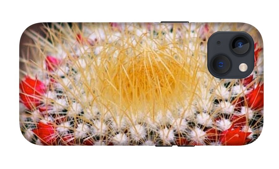 Marcus The Cactus #cactus iPhone 13 Tough Case by Mark Nowoslawski -  Instaprints