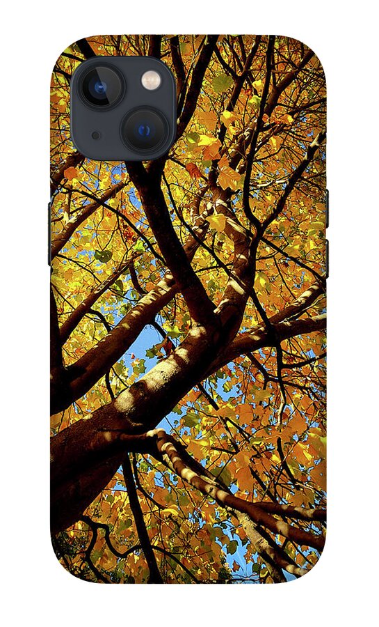 princes-street-gardens-west-edinburgh-autumn-colour-011-douglas-brown.jpg?&targetx=-137&targety=0&imagewidth=1152&imageheight=1537&modelwidth=877&modelheight=1519&backgroundcolor=CA721C&orientation=0