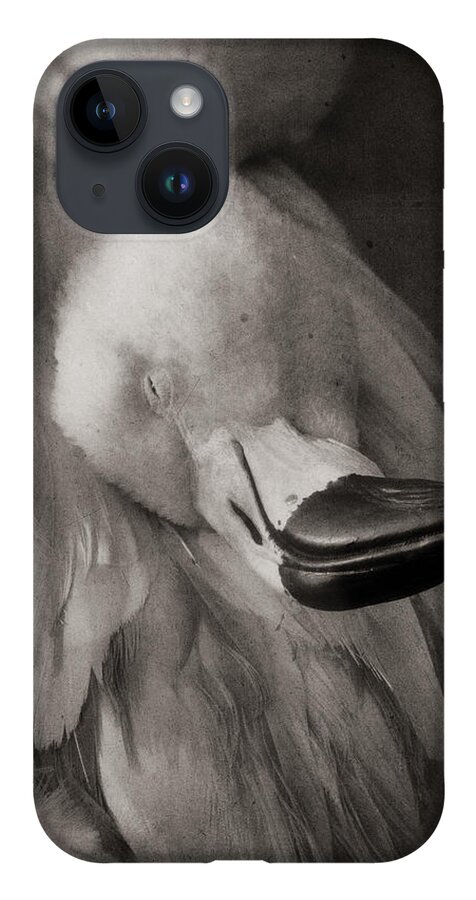 American Flamingo iPhone 14 Case featuring the photograph Napping on Flamingo Feathers by Theo O'Connor